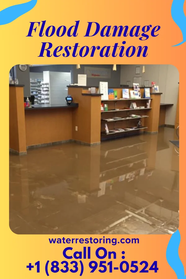 Flood Damage Restoration in Bee Cave, TX