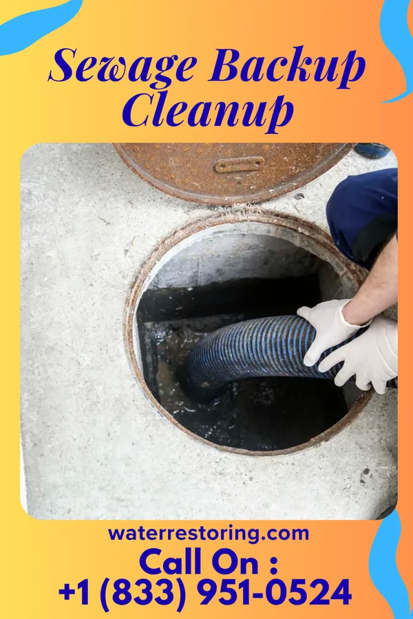 Sewage Backup Cleanup in Bee Cave, TX